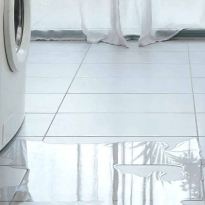 Appliance Leak Cleanup in Spring Hill, FL
