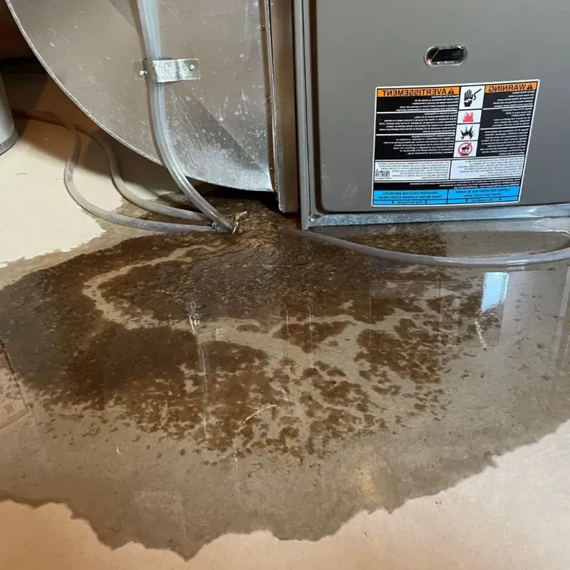 Pipe Burst and Leak Restoration in Spring Hill, FL